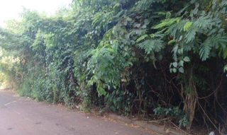 Imóvel 2363972 [''] - ['Chacara de terras sob no 12 (doze), situada na subdivisao parcial dos lotes nrs. 32-A e 32-B, da Gba. Lindoia'] ['Lindóia'] - ['Londrina']/['PR'] - 1
