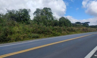 Imóvel 2849572 [''] - ['Um Terreno situado no lugar denominado Sao Pedro, confrontando ao Norte com a BR 277; ao Sul com Augusto Budziak e Fiorello Eloy Cherobim; ao Oeste com Fiorello Eloy Cherobim; e ao Oeste com Jair Agottani Stadler.'] [''] - ['Palmeira']/['PR'] - 1