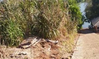 Imóvel 2509572 [''] - ['Lote 6, Quadra 1, Loteamento Lago Dourado 02'] [''] - ['Cruzeiro Do Iguaçu']/['PR'] - 1