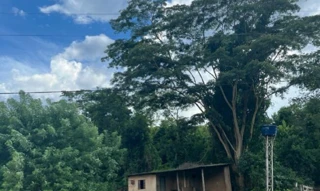 Imóvel 2590173 [''] - ['FAZENDA CONFUSÃO PARAÍSO'] [''] - ['Santo Antônio Da Barra']/['GO'] - 1