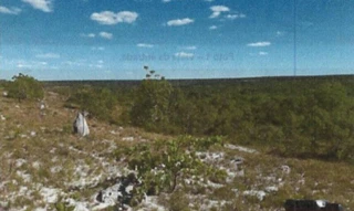 Imóvel 2689573 [''] - ['Zona Rural, s/n - Riacho do Mato - São Romão / MG'] [''] - ['São Romão']/['MG'] - 1