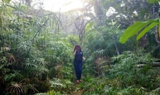 Imóvel 2735473 [''] - ['Fazenda Santana'] [''] - ['Uibaí']/['BA'] - 1