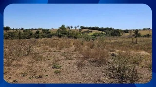 Imóvel 2617273 [''] - ['Km 121 da BR 101, Palmares'] [''] - ['Palmares']/['PE'] - 1