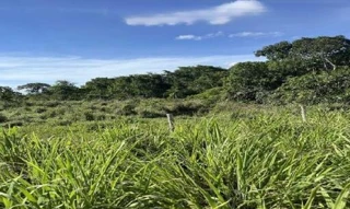 Imóvel 2760273 [''] - ['Situada na Fazenda Lambari, Fazenda Lambari - Mara Rosa/GO'] [''] - ['Mara Rosa']/['GO'] - 1