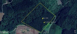 Imóvel 2547473 [''] - ['Lote Rural 91-A, da 3ª Secção Planalto, Município de Planalto, Estado do Rio Grande do Sul'] ['Medianeira'] - ['Planalto']/['RS'] - 1