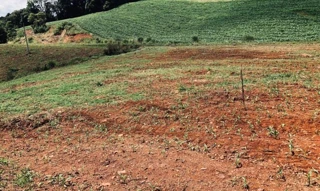 Imóvel 2544073 [''] - ['PARTE A” DO LOTE RURAL Nº 14, do Núcleo Nova Itália'] [''] - ['Severiano De Almeida']/['RS'] - 1