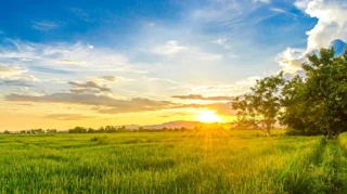 Imóvel 2492873 [''] - ['RUA MILTON RAMALHO SIMÕES, N.11/ RESIDENCIAL VILLA'] [''] - ['Taió']/['SC'] - 1