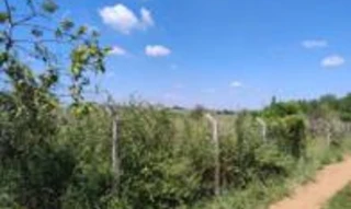 Imóvel 2834674 [''] - ['Fazenda Ponte Alta, CHÁCARA BOA VISTA'] [''] - ['Novo Horizonte']/['SP'] - 1