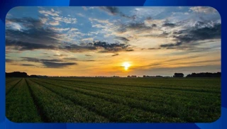 Imóvel 2524774 [''] - [', SN'] [''] - ['Ipubi']/['PE'] - 1