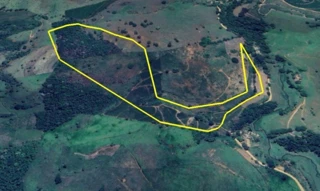 Imóvel 2733074 [''] - ['Santo Antônio das Palmeiras, - Divino - MG'] [''] - ['Divino']/['MG'] - 1