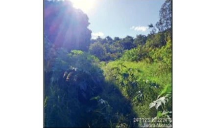 Imóvel 2538775 - RUA LAMBARI, 243- CHÁCARA G-2