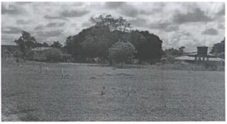 Imóvel 2727375 [''] - ['denominada FAZENDA FAVEIRA, na gleba Barriguda, loteamento Cartucho, lote 151,'] [''] - ['Goiatins']/['TO'] - 1