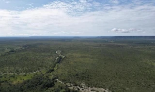 Imóvel 2701775 [''] - ['Fazenda Grabriel lote n° 10, do loteamento "JALAPÃO" - GLEBA-5-1'] [''] - ['São Félix Do Tocantins']/['TO'] - 1