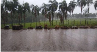 Imóvel 2354475 [''] - ['Gleba De Terras Situada Na Fazenda Retiro, Lugar Denominado Chácara Pitanga'] ['Jardim Leblon'] - ['Goiânia']/['GO'] - 1