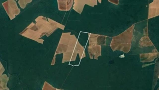 Imóvel 2513875 [''] - ['Fazenda Primavera VII, Nova Maringá, MT'] [''] - ['Nova Maringá']/['MT'] - 1