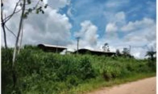 Imóvel 2509676 [''] - ['Ramal da Manga - Rua Projetada I'] [''] - ['Manoel Urbano']/['AC'] - 1