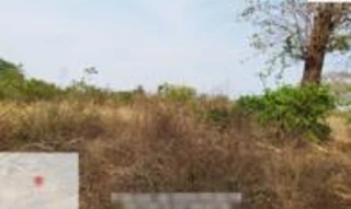 Imóvel 2596376 [''] - ['Saida da cidade de Torixoréu/MT pela rodovia MT 100, sentido Pontal do Araguaia/MT, percorre 6,9 km, entra a esquerda em estrada nao pavimentada, seguindo por mais 12,3 km. A fazenda fica a esquerda.'] [''] - ['Torixoréu']/['MT'] - 1