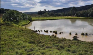 Imóvel 2615276 [''] - ['Localidade de Flor Azul, fundos da Fazenda Santa Bárbara, Anita Garibaldi – S'] [''] - ['Anita Garibaldi']/['SC'] - 1