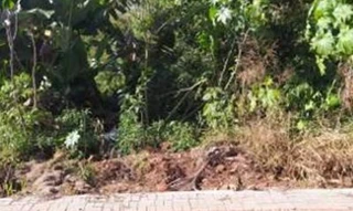 Imóvel 2507176 [''] - ['Loteamento Lago Dourado 02, Lote 16, Quadra 4'] [''] - ['Cruzeiro Do Iguaçu']/['PR'] - 1