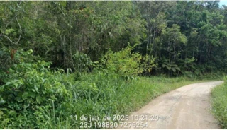Imóvel 2783276 [''] - ['SÍTIO CHEIA GRANDE, com área de 80.00.00 ha.'] [''] - ['Jacupiranga']/['SP'] - 1