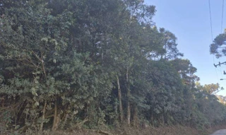 Imóvel 2763076 [''] - ['Estrada Dois Dedos- São Bento do Sul'] [''] - ['São Bento Do Sul']/['SC'] - 1