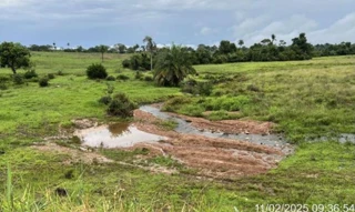 Imóvel 2438177 [''] - ['Gleba de terras rural desmembrada da fusão dos lotes de nºs 01, 02, 03, 04, 05, 47-A e 47-B1, do loteamento Pequizeiro, gleba 02, fls.01, situada neste município de Pequizeiro'] [''] - ['Pequizeiro']/['TO'] - 1