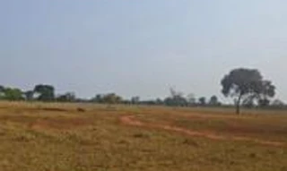 Imóvel 2689877 [''] - ['Fazenda Manaus'] [''] - ['Dois Irmãos Do Buriti']/['MS'] - 1