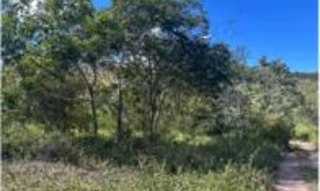 Imóvel 2683777 [''] - ['Conceição de Baixo, Palmeiras'] [''] - ['Palmeiras']/['BA'] - 1