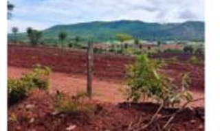 Imóvel 2376477 [''] - ['Fazenda e loteamento São Lourenço do Paraíso, Minaçu'] [''] - ['Minaçu']/['GO'] - 1