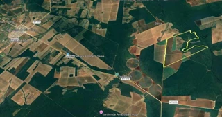 Imóvel 2780677 [''] - ['FAZENDA MEDALHA MILAGROSA'] [''] - ['São José Do Rio Claro']/['MT'] - 1