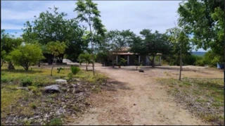 Imóvel 2833377 [''] - ['UMBURANAS, ENCRAVADO NA PROPRIEDADE ITAPURU, LOCALIZADO NO 2º DISTRITO DO MUNICÍPIO DE SERTÂNIA'] [''] - ['Sertânia']/['PE'] - 1