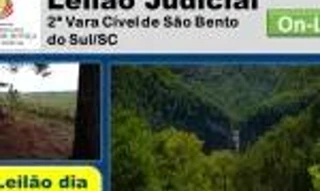 Imóvel 2319678 [''] - ['lote rural nº44, na Secção Costa Gama, da Colônia de Três Forquilhas'] [''] - ['Itati']/['RS'] - 1