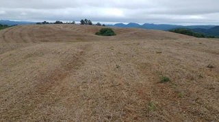 Imóvel 2542678 [''] - ['TERRA BOA CAMPO MAGRO'] [''] - ['Campo Magro']/['PR'] - 1