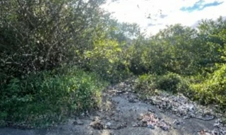 Imóvel 2690678 [''] - ['Rua Abraão Bernardino Rocha, S/N - Lote N°02 Condomínio Horizontal Familia Scaburri - Fazenda - Itajaí / SC'] ['Fazenda'] - ['Itajaí']/['SC'] - 1