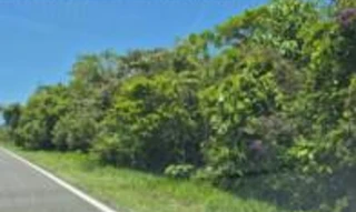 Imóvel 2889378 [''] - ['Rodovia Elísio Pereira Alves Filho'] [''] - ['Matinhos']/['PR'] - 1