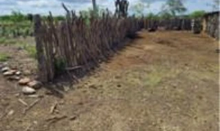 Imóvel 2542778 [''] - ['Sítio Baixa da Caraíba'] [''] - ['Afrânio']/['PE'] - 1