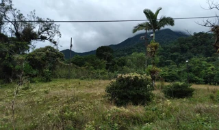 Imóvel 2577078 [''] - ['Bairro Alto - Distrito Cacatú - Antonina/PR'] [''] - ['Antonina']/['PR'] - 1