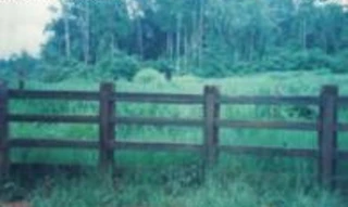 Imóvel 2834979 [''] - ['Fazenda Água Funda c/ 2.462 ha, Lote Mogno, Gleba II ou Pau Brasil'] [''] - ['Colniza']/['MT'] - 1
