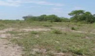Imóvel 2376479 [''] - ['Loteamento Marianópolis, Abreulândia'] [''] - ['Abreulândia']/['TO'] - 1