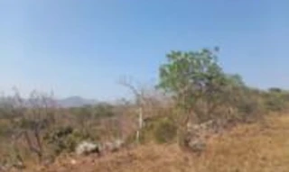 Imóvel 2741479 [''] - [''] [''] - ['Niquelândia']/['GO'] - 1