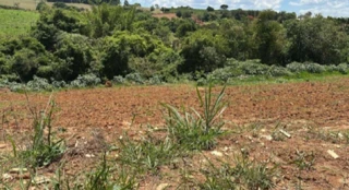 Imóvel 2606680 [''] - ['Fazenda Caixão'] [''] - ['Guapé']/['MG'] - 1