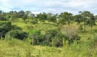 Imóvel 2617081 [''] - ['Fazenda Taquarizinho'] [''] - ['Orizona']/['GO'] - 1