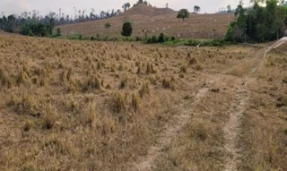 Imóvel 2515981 [''] - ['ESTRADA TAPEJARA'] [''] - ['Nova Bandeirantes']/['MT'] - 1