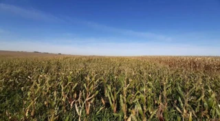 Imóvel 2684881 [''] - ['Gleba Lambari'] [''] - ['Tupãssi']/['PR'] - 1