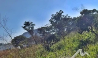 Imóvel 2503882 [''] - ['Fazenda Cocais, Fazenda Xavier, próximo a MG 176, sentido Dores do Indaiá/MG, 3 km da cidade de Luz'] [''] - ['Luz']/['MG'] - 1