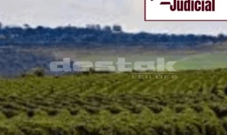 Imóvel 2751482 [''] - ['Fazenda Antonieta - Vila Bela da Santíssima Trindade'] [''] - ['Vila Bela Da Santíssima Trindade']/['MT'] - 1