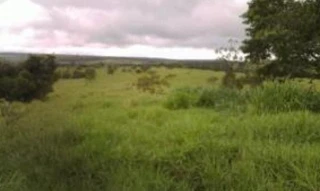 Imóvel 2428182 [''] - ['FAZENDA SANTANA'] [''] - ['Virgem Da Lapa']/['MG'] - 1