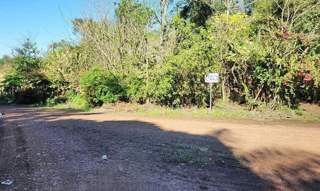 Imóvel 2542682 [''] - ['LOTE RURAL Nº 22-A, GLEBA 55-AM, NÚCLEO AMPERE, COLÔNIA MISSÕES, LINHA MARTINS'] [''] - ['Realeza']/['PR'] - 1