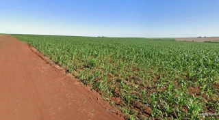 Imóvel 2684882 [''] - ['Gleba Lambari'] [''] - ['Tupãssi']/['PR'] - 1