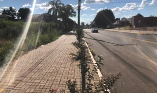 Imóvel 1679083 [''] - ['Av. Presidente Vargas, s/n'] [''] - ['Lagoa Vermelha']/['RS'] - 1